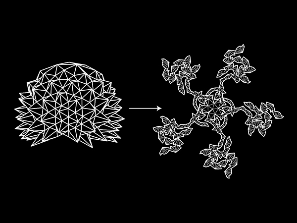 Unfolding 03